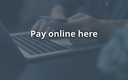 Pay Taxes Online Image and Link